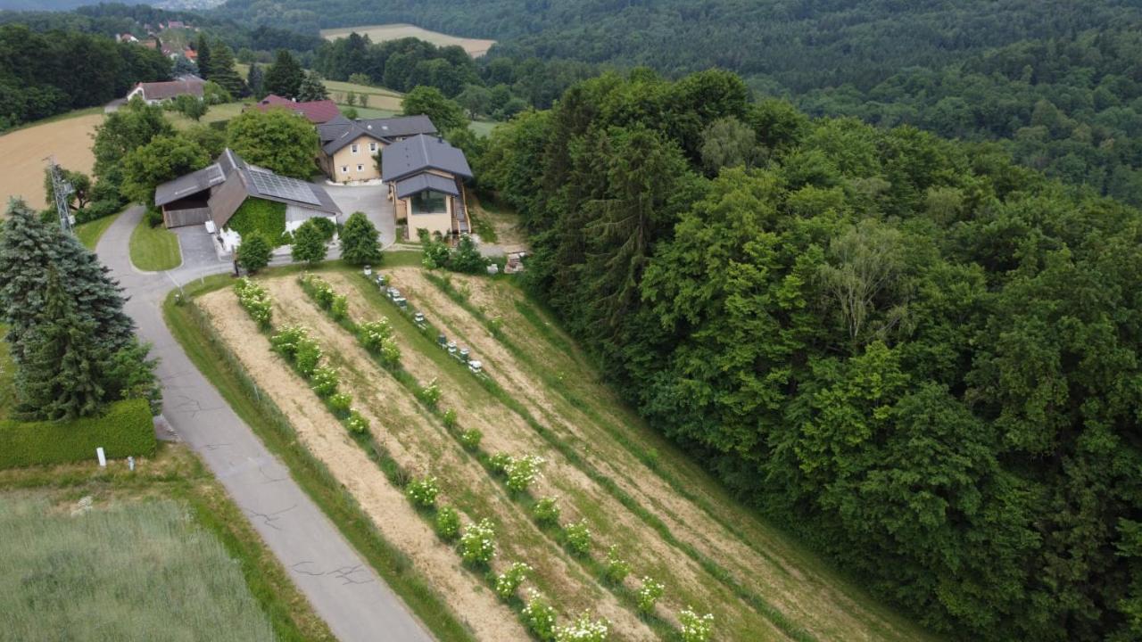 Apartamento Beim Bergjosl Kirchbach in Steiermark Exterior foto
