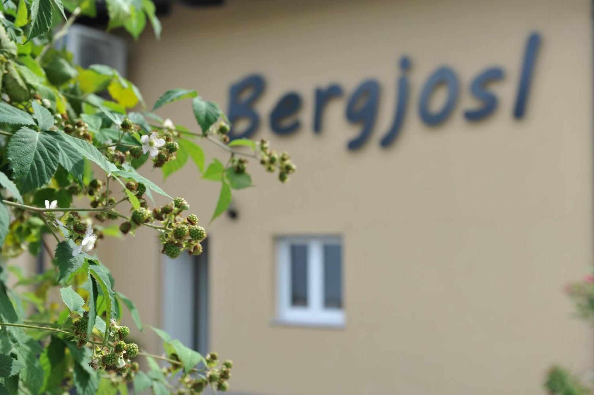 Apartamento Beim Bergjosl Kirchbach in Steiermark Exterior foto