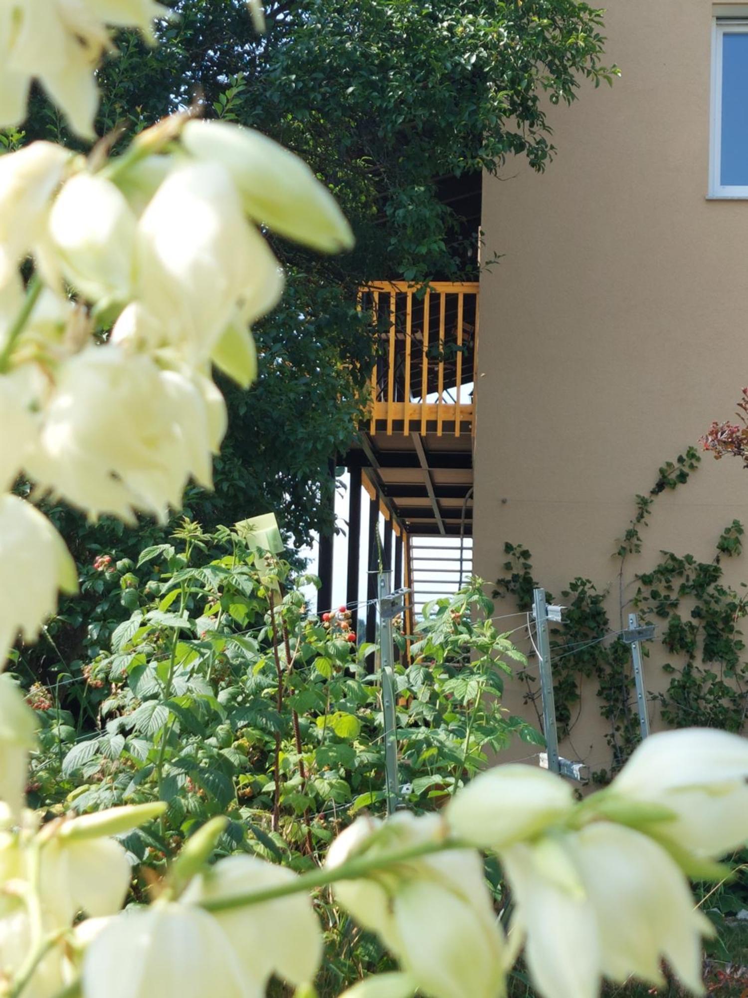 Apartamento Beim Bergjosl Kirchbach in Steiermark Exterior foto